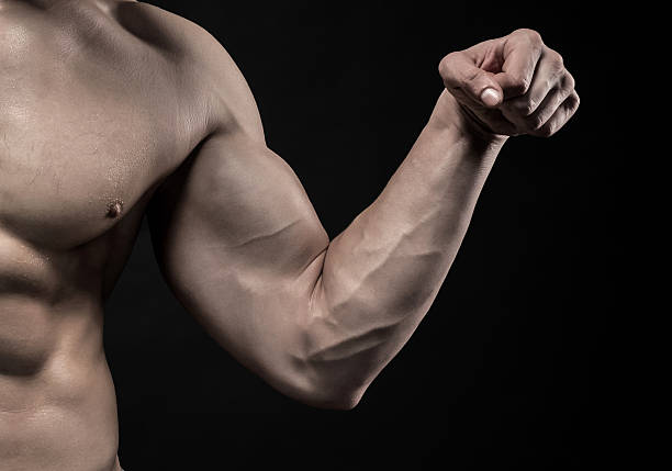 istock Image of very muscular man posing with naked torso 533327360