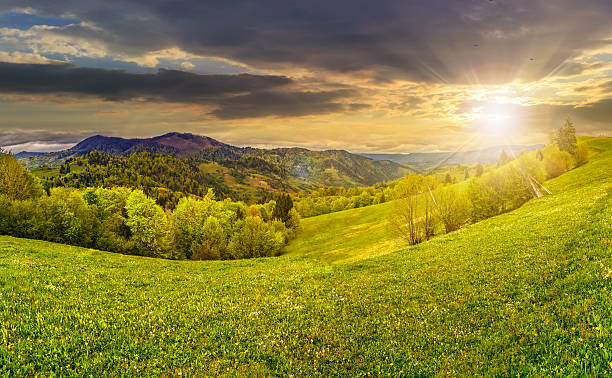 istock rural meadow with trees in mountains at sunset 533328018