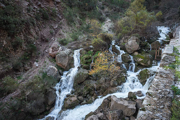 istock Vouraikos gorge, Peloponnese, Greece 533328991