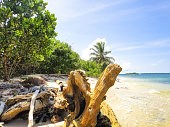 zapatilla-insel-panama.jpg?b=1&s=170x170&k=20&c=3wnVg4MAXC7HlC1W87gYDz_ayGNwl4Y2wpV3Mh3DauU=