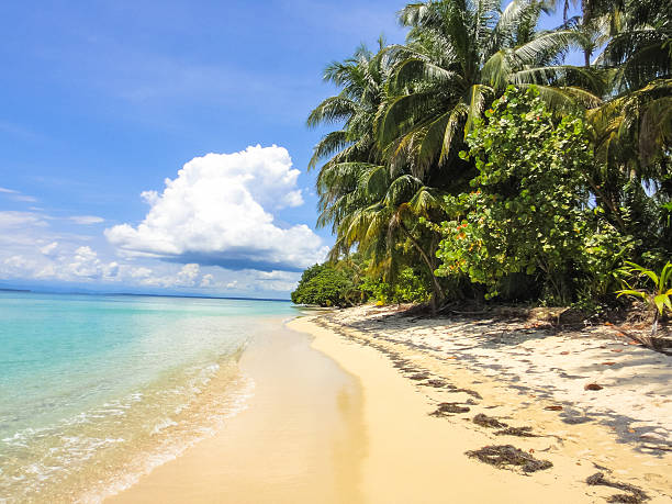 istock Zapatilla island of Panama 533329582