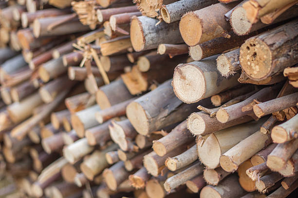 istock Accurately stacked fire wood 533329672