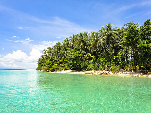 istock Zapatilla island of Panama 533329782