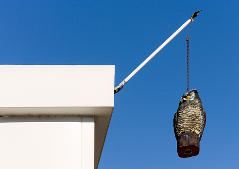Fake owl hanging from building flagpole. (Not sure if any bird or animal would be frightened by an owl suspend in mid air.) Horizontal.