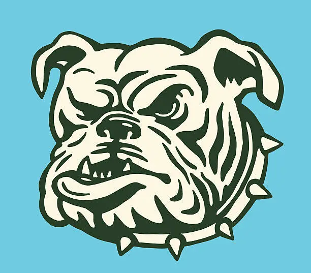 Vector illustration of Bulldog With Spiked Collar