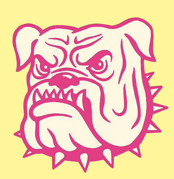 Mean Bulldog http://csaimages.com/images/istockprofile/csa_vector_dsp.jpg mean dog stock illustrations
