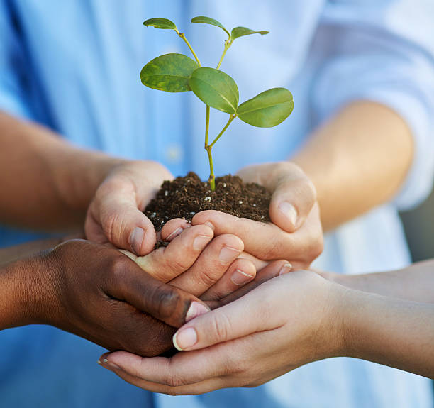 istock The future is in our hands 533331858