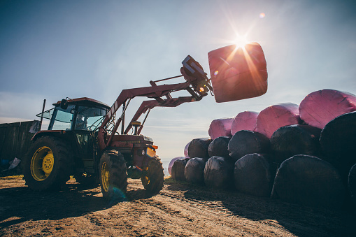 Tractor lifting large silage bale off of a stack. The silage bales are wrapped in pink plastic to support and raise awareness for secondary breast cancer.