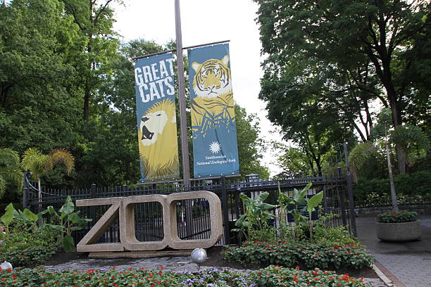 The entrance to the Smithsonian national Zoological Park Washington DC, USA - may 15, 2012. The entrance to the Smithsonian national Zoological Park smithsonian museums stock pictures, royalty-free photos & images