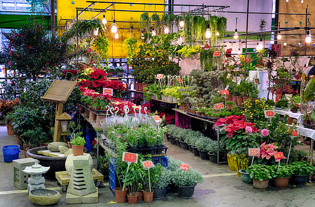 Taipei, Taiwan - Dec 27, 2014: Jianguo Holiday Flower Market in Taipei. The market features over 200 stalls, selling potted plants, flowers, seeds, and all other botanical related including tools, pots, fertilizer, agricultural materials and even books are all to be found here.