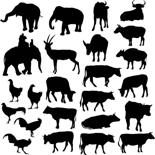 Vector illustration of Black silhouettes of elephants, cows, bulls, chickens, deer on white