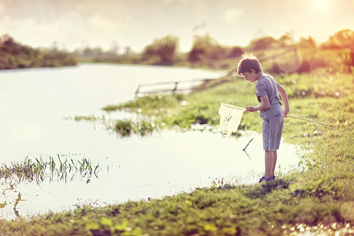 Boy by a river with a fishing net catching fish in the summer sun concept for childhood, healthy lifestyle and vacation