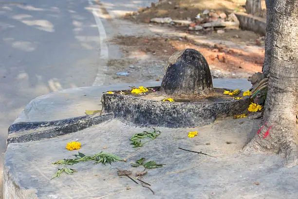 Shiva-Lingam on the roots of tree in Vrindavan