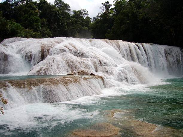 Agua Azul waterfall in the tropical forest, Chiapas, Mexico. The Cascadas de Agua Azul are located 69 kilometers from Palenque and consists of many cataracts. The water is as blue as it looks in the pictures, and give the name to the scenic site.  