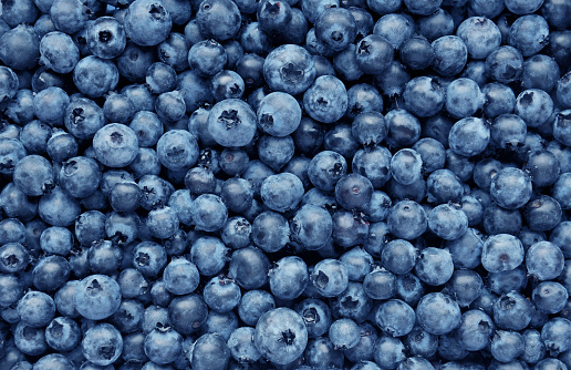 Moist blueberries background with green leaves