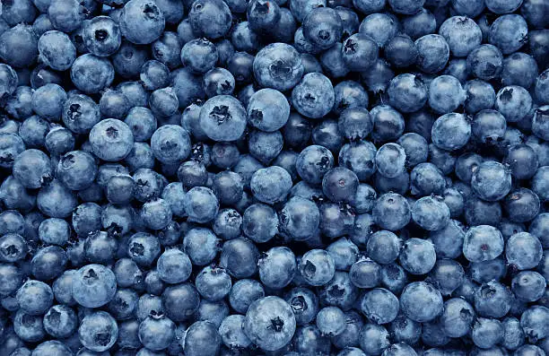 Photo of Background from freshly picked blueberries