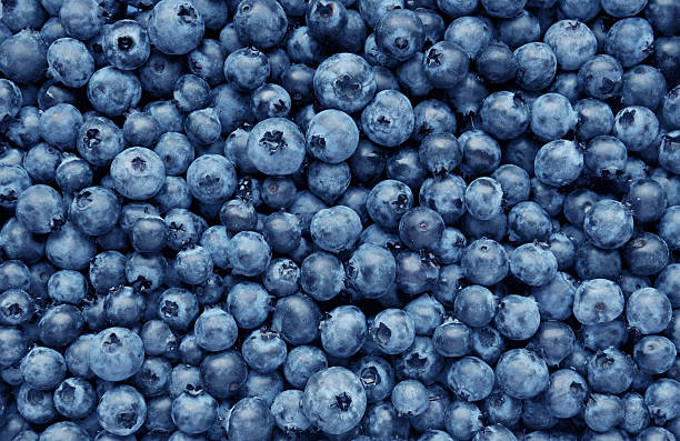 справочная информация из свежесобранной черники - blueberry стоковые фото и изображения