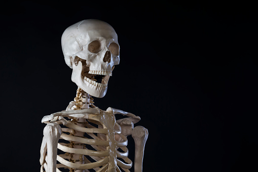 Bright orange background appears as to be an inferno with Halloween decorations in foreground.  Skull and torso in foreground.