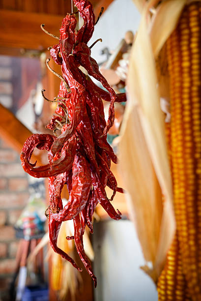 istock Hot peppers hanging to dry in natural light 533341432