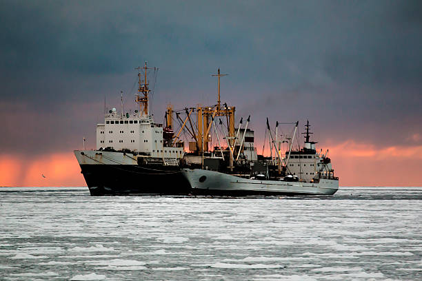 fishing base delivers products to the cold storage in the sea of Okhotsk