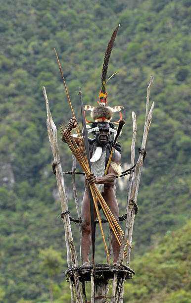 On the observation tower. Dani Village, Wamena, Irian Jaya, New Guinea, Indonesia - July 25, 2009: Yali Mabel, the chief of Dani tribe stays on the observation tower to protect the village. stone age stock pictures, royalty-free photos & images