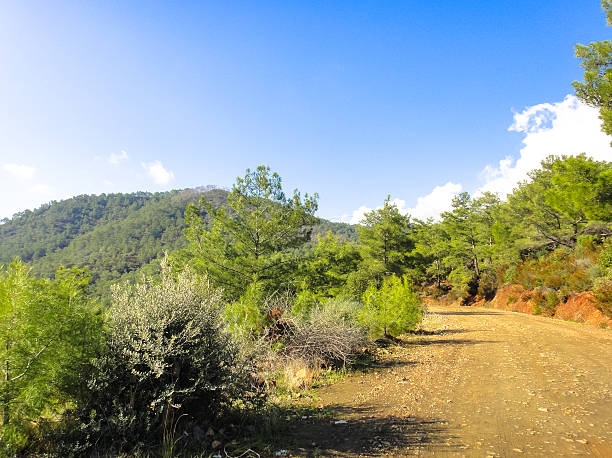 istock Asia Minor nature 533344574