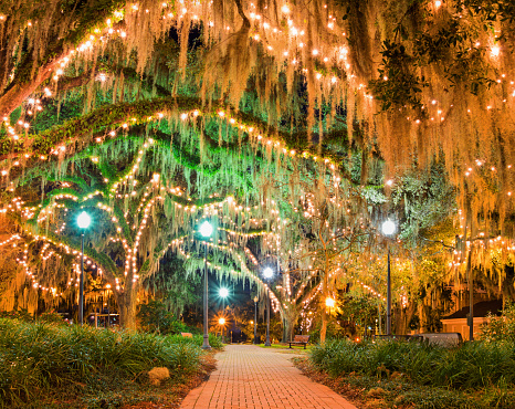 Illuminated park with live oak trees in downtown Tallahassee, Florida