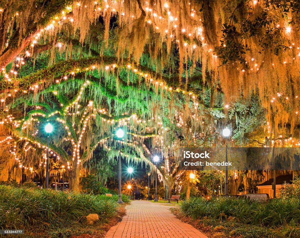 Downtown Park Tallahassee Florida Illuminated park with live oak trees in downtown Tallahassee, Florida Tallahassee Stock Photo