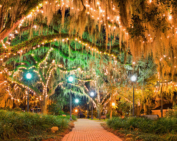 Downtown Park Tallahassee Florida Illuminated park with live oak trees in downtown Tallahassee, Florida spanish moss photos stock pictures, royalty-free photos & images