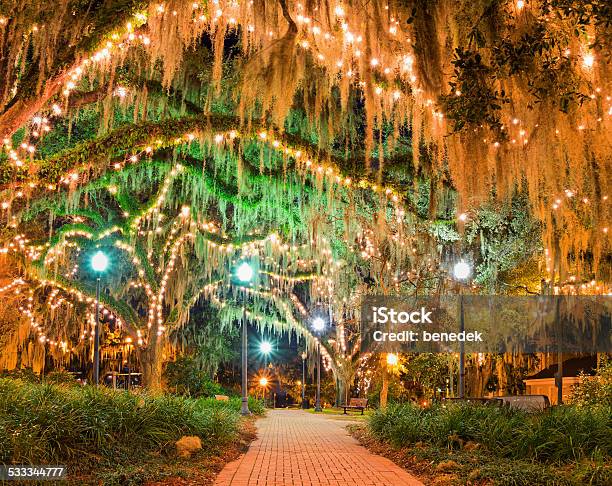 Downtown Park Tallahassee Florida Stock Photo - Download Image Now - Tallahassee, Florida - US State, Spanish Moss