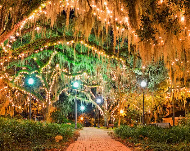 Illuminated park with live oak trees in downtown Tallahassee, Florida