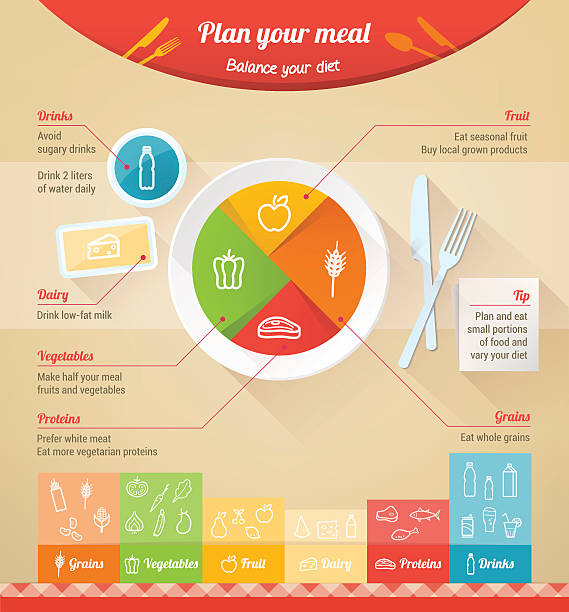 Plan your meal Plan your meal infographic with dish, chart and icons, healthy food and dieting concept meal dinner food plate stock illustrations