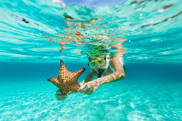 femme avec masque et tuba et masque tenant une étoile de mer - swimwear caribbean sea beach water photos et images de collection