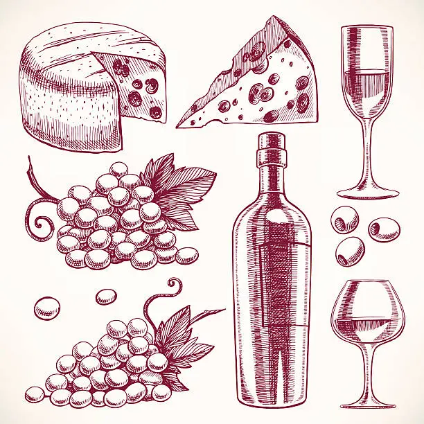 Vector illustration of sketch wine set