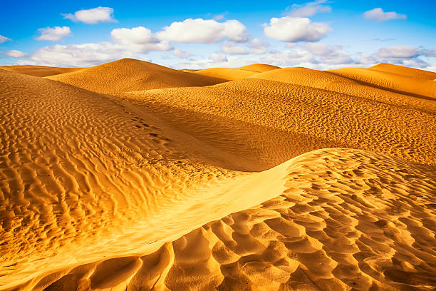 Sahara desert - Douz, Tunisia. Sahara desert - Douz, Tunisia. tunisia sahara douz stock pictures, royalty-free photos & images