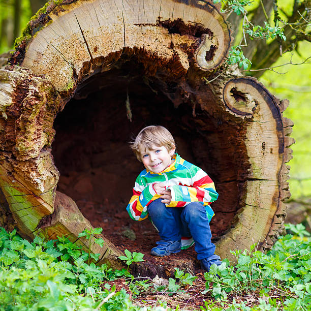 istock little kid boy  playing in nature on spring day 533348476