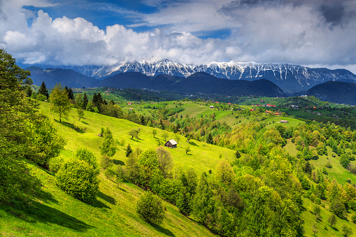 Stunning alpine landscape with green fields and high snowy Piatra Craiului mountains near Brasov,Transylvania,Romania,Europe