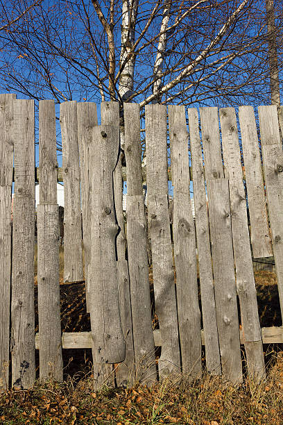 istock Dry withered grass at the wooden fence 533349737