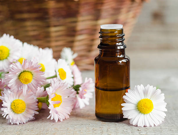 istock Small bottle of daisy flowers tincture 533349910