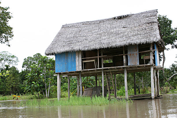 istock Houses on Stilts 533350543