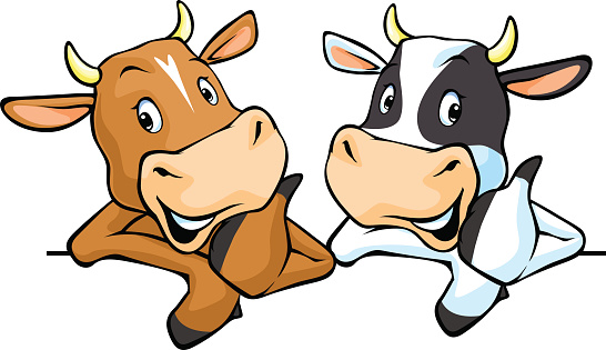 All cows recommend with thumb up - vector illustration