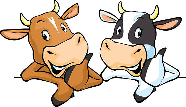 All cows recommend All cows recommend with thumb up - vector illustration cow stock illustrations