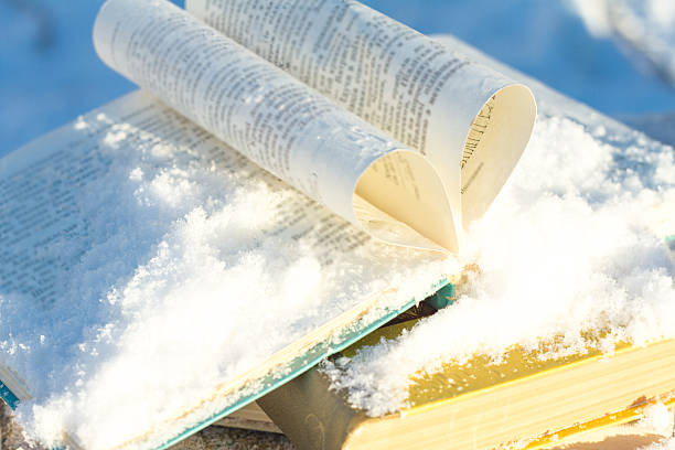 ブックの背景に雪の冬 - book picture book reading storytelling ストックフォトと画像