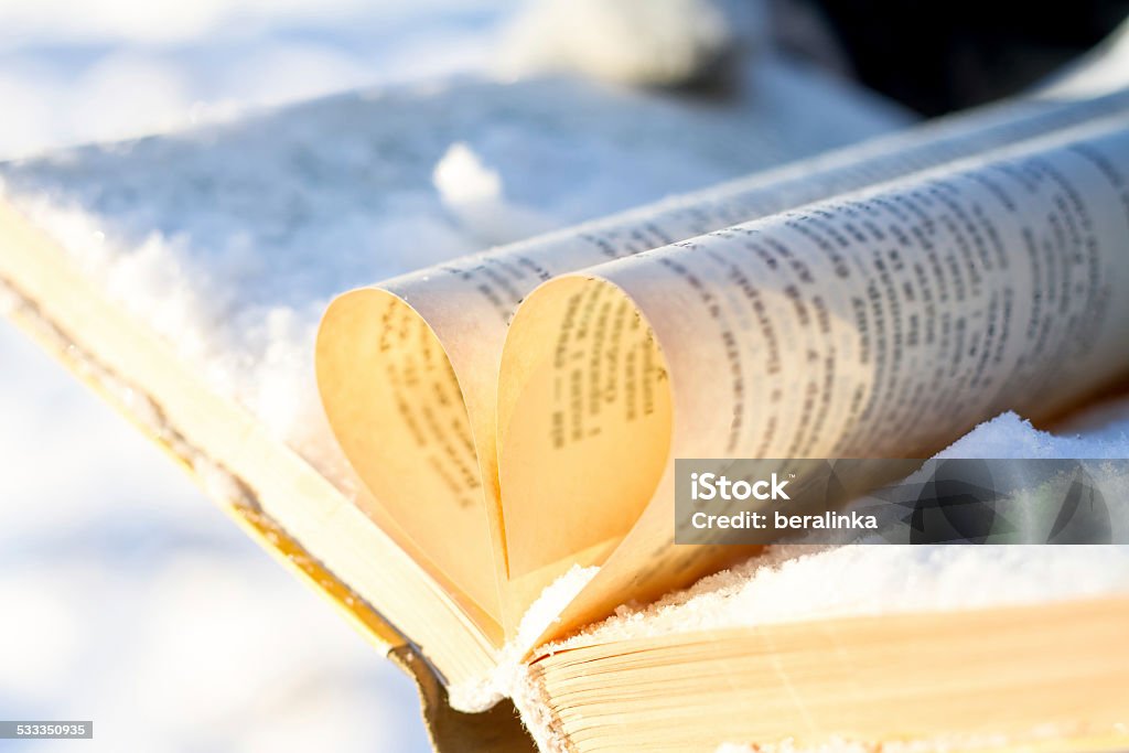 books on winter background. under snow 2015 Stock Photo