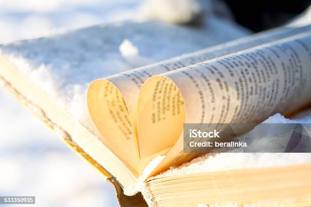 Books On Winter Background Under Snow Stock Photo - Download Image Now - 2015, Backgrounds, Beauty