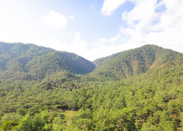 istock Asia Minor nature 533350994