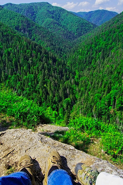 istock View from cliff in Slovak Paradise 533352308