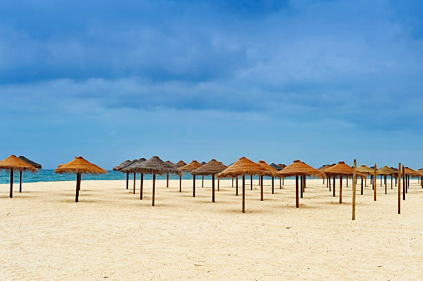 istock Empty sandy beach with parasols , Algarve,Portugal 533354604
