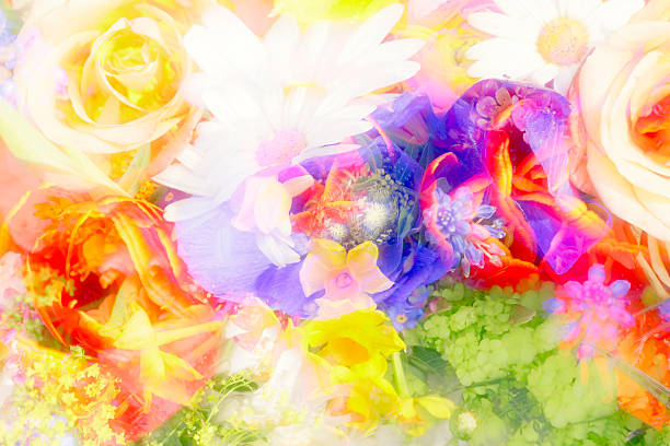 istock blurred double exposure of flowers for backgrounds 533355670