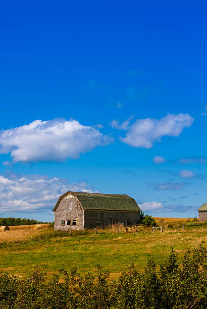 istock rural landscape with a barn 533355858
